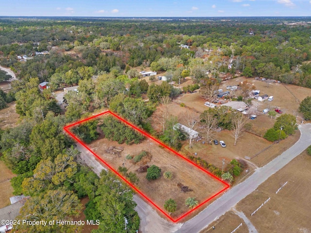 18019 Good Hope Ln, Spring Hill Pasco, FL 34610 - photo 4
