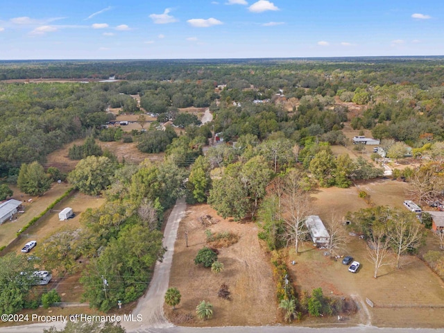 18019 Good Hope Ln, Spring Hill Pasco, FL 34610 - photo 5