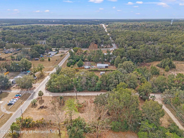18019 Good Hope Ln, Spring Hill Pasco, FL 34610 - photo 7