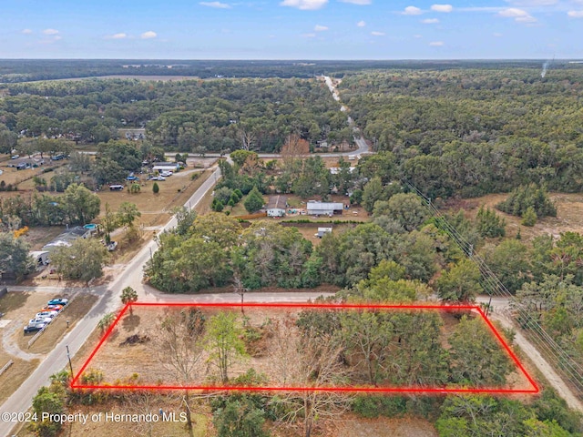 18019 Good Hope Ln, Spring Hill Pasco, FL 34610 - photo 8
