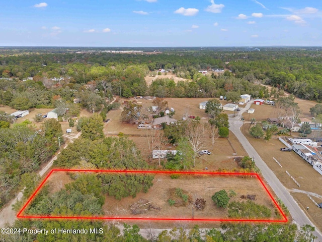 18019 Good Hope Ln, Spring Hill Pasco, FL 34610 - photo 12