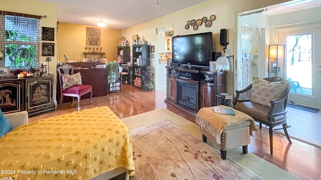 living room featuring a fireplace and hardwood / wood-style floors