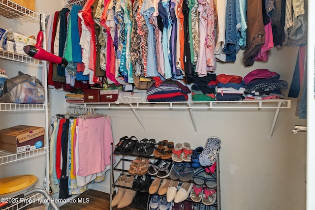 walk in closet featuring hardwood / wood-style flooring