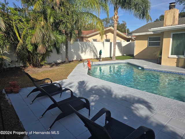 view of pool featuring a patio area