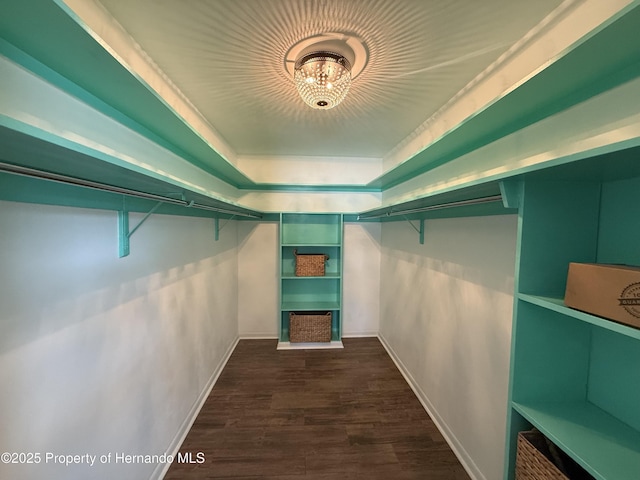 walk in closet with dark wood-type flooring