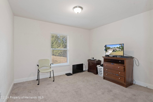 living area with light carpet