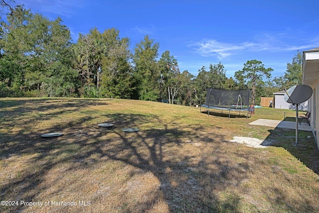 view of yard with a trampoline