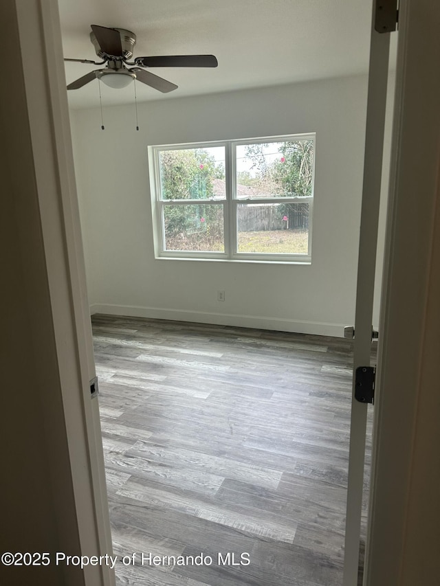 unfurnished room featuring ceiling fan and light wood-type flooring