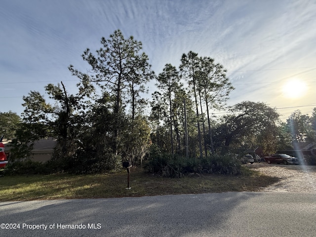 0 Long Lake Ave, Weeki Wachee FL, 34613 land for sale