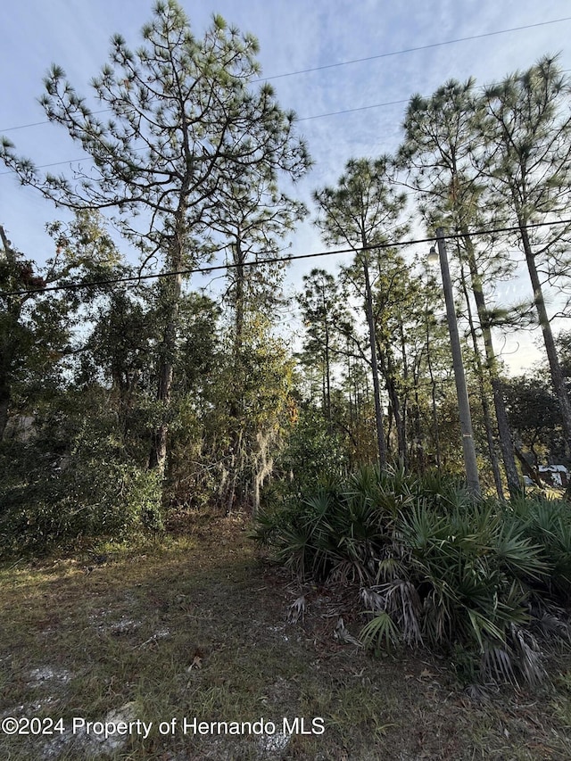 Listing photo 3 for 0 Long Lake Ave, Weeki Wachee FL 34613