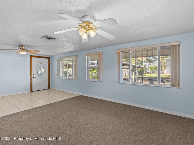 carpeted empty room featuring a textured ceiling and a wealth of natural light