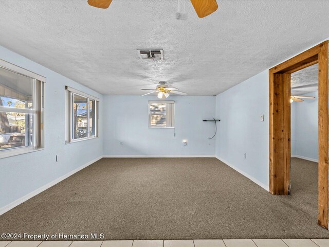 spare room with light carpet, a healthy amount of sunlight, and a textured ceiling