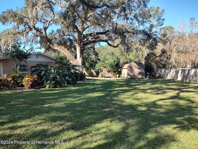 view of yard featuring a storage shed