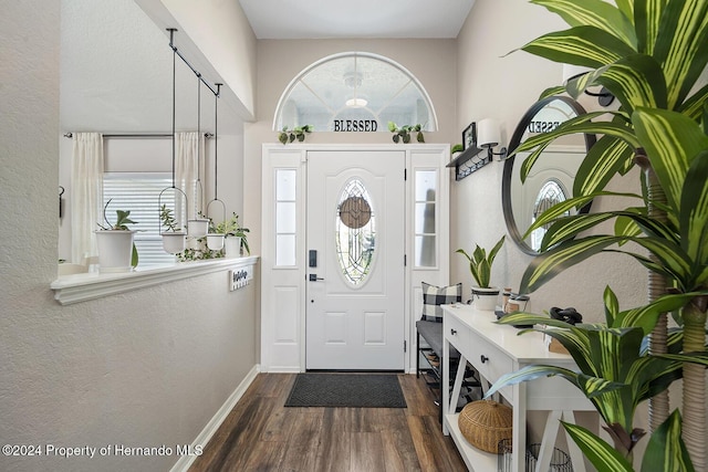 entryway with dark hardwood / wood-style floors