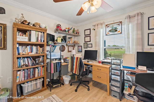 home office with light hardwood / wood-style floors, ceiling fan, and crown molding