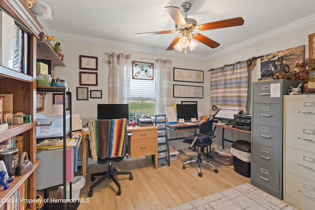 office with light hardwood / wood-style flooring, ceiling fan, and ornamental molding