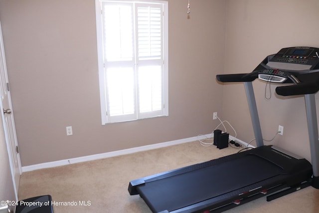 exercise area featuring plenty of natural light and light carpet