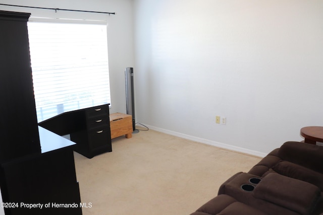 interior space with light colored carpet