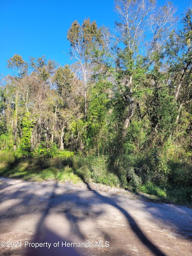 00 Morena St, New Port Richey, FL 34654