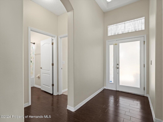 foyer entrance featuring a wealth of natural light and dark wood-type flooring