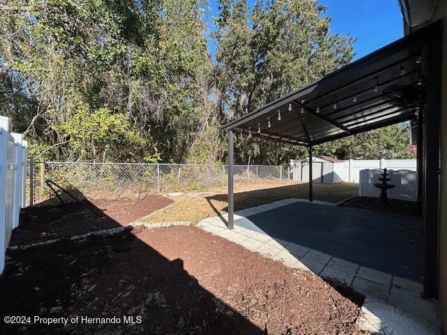 view of yard with a patio and a storage shed