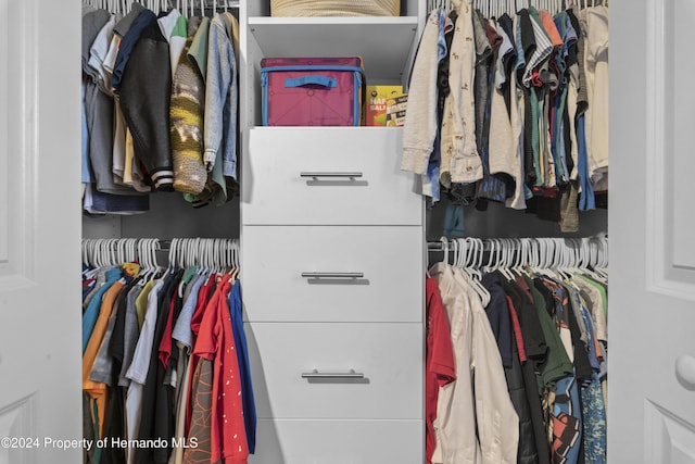 view of closet