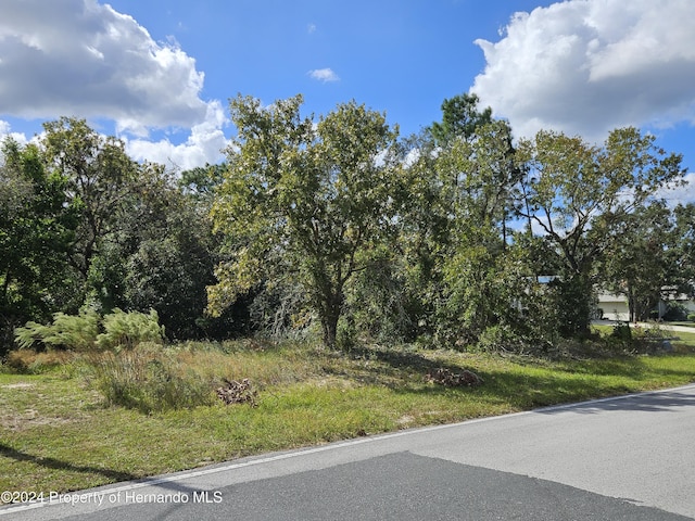 89 Cypress Blvd E, Homosassa FL, 34446 land for sale