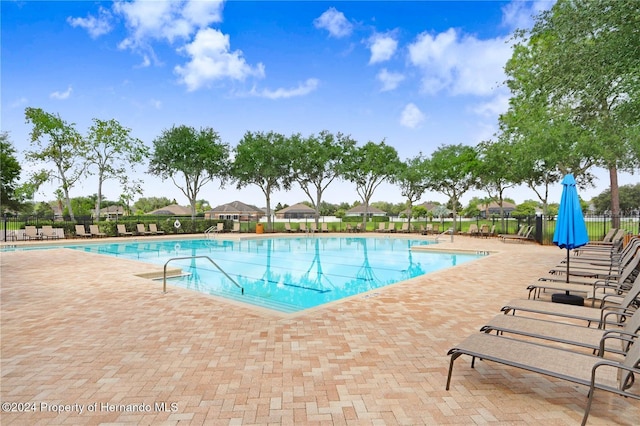 view of pool featuring a patio area