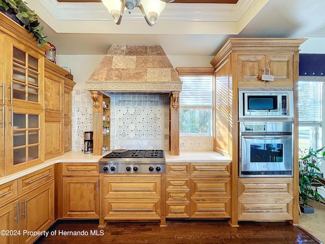 kitchen with premium range hood, dark hardwood / wood-style flooring, tasteful backsplash, and appliances with stainless steel finishes