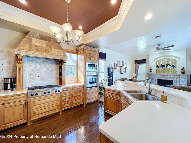 kitchen featuring custom exhaust hood, dark wood-type flooring, sink, decorative backsplash, and appliances with stainless steel finishes