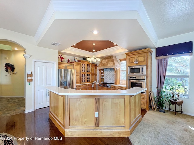 kitchen featuring premium range hood, a spacious island, hardwood / wood-style flooring, appliances with stainless steel finishes, and a tray ceiling