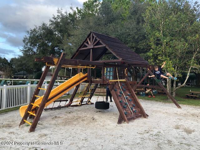 view of jungle gym