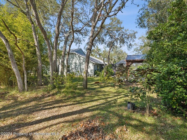 92 Randolph Ave, Spring Hill, FL 34606 - view of yard