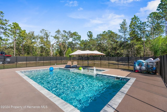 view of pool with a patio