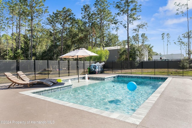 7376 Fall St, Brooksville, FL 34613 - photo 10