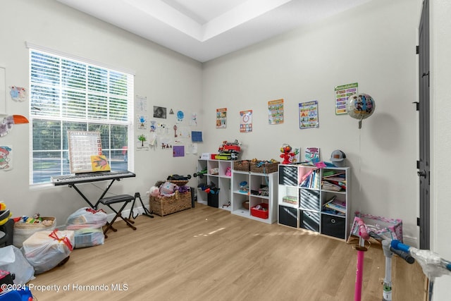 rec room featuring hardwood / wood-style floors