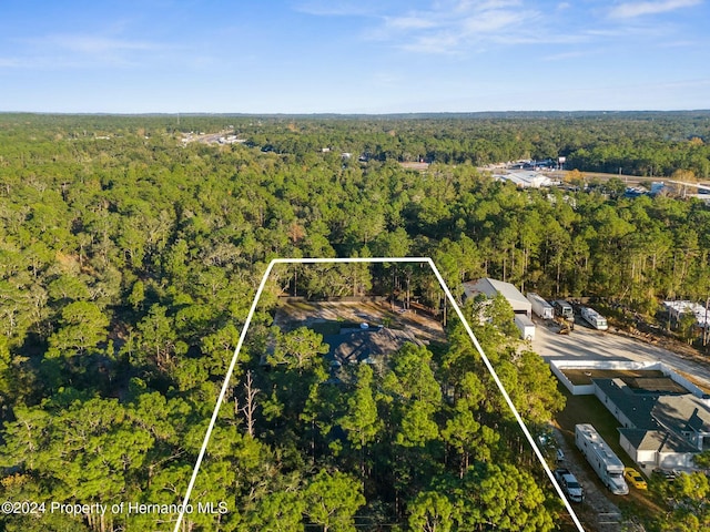7376 Fall St, Brooksville, FL 34613 - photo 80