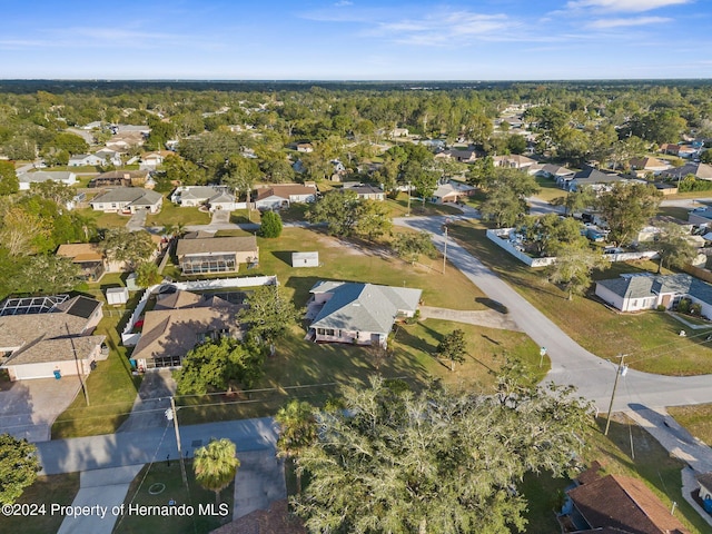 bird's eye view