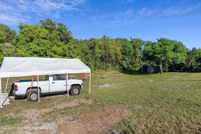 view of yard featuring a carport and a shed