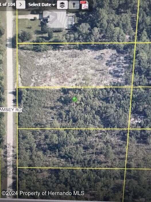 00 Ramsey Rd, Brooksville FL, 34614 land for sale