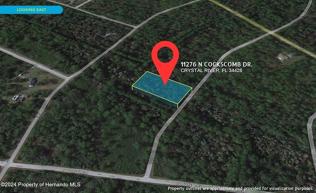 11276 W Cockscomb Dr, Crystal River FL, 34428 land for sale