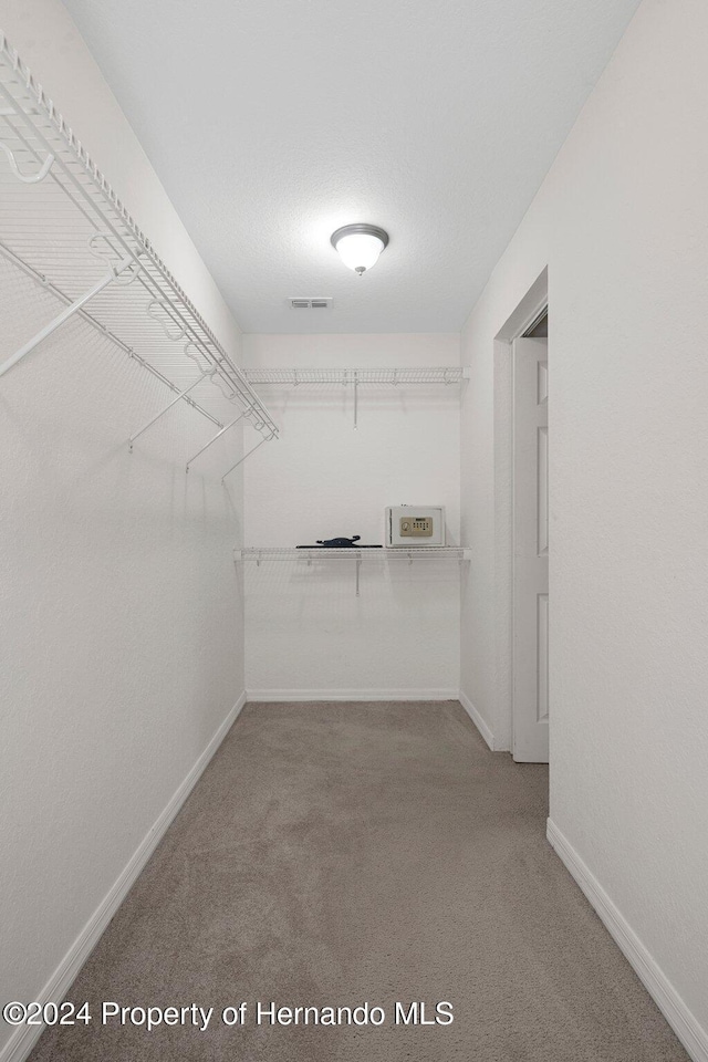 spacious closet featuring carpet floors