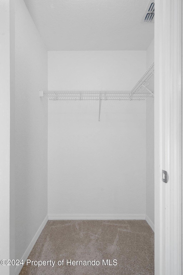 spacious closet featuring carpet