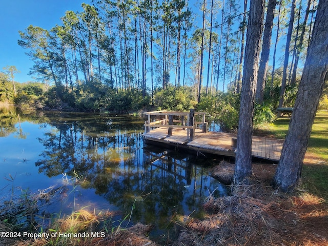 view of dock featuring a water view