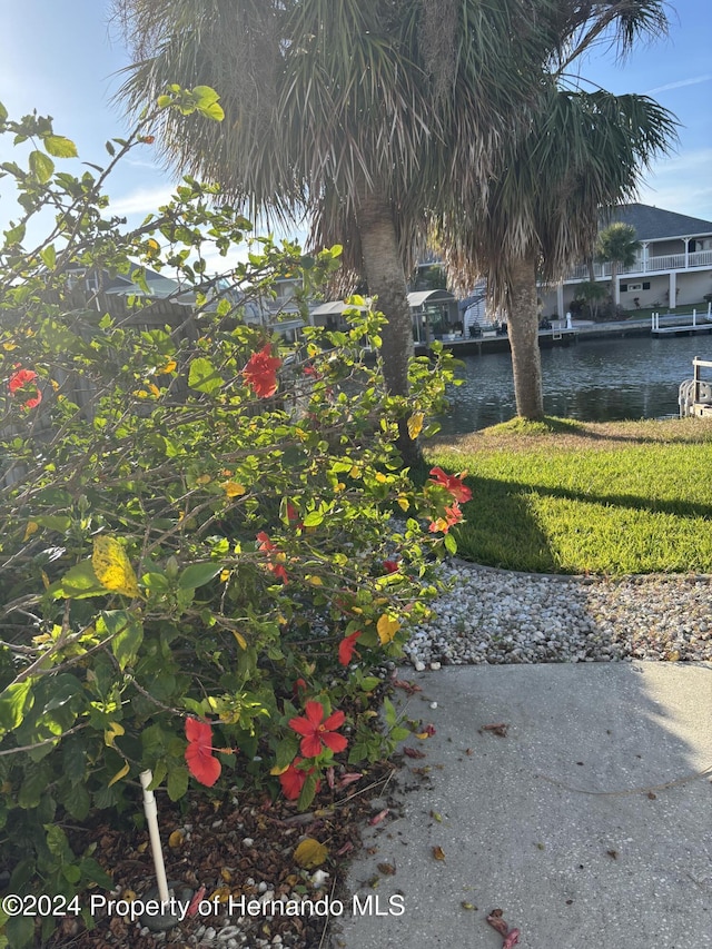 view of yard with a water view