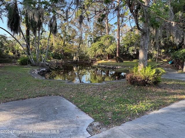 view of yard with a water view