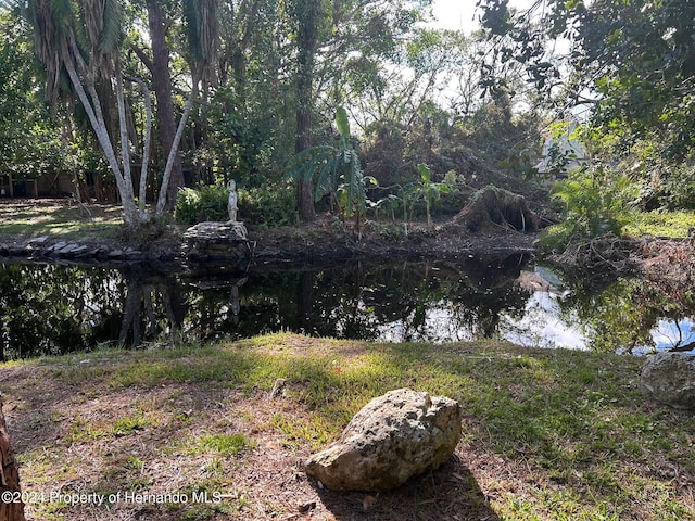 view of yard with a water view