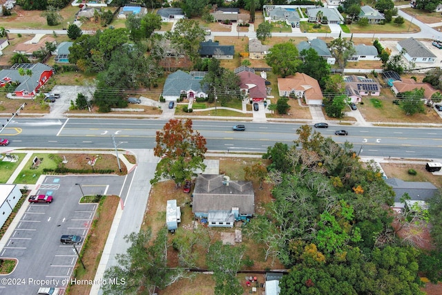 bird's eye view