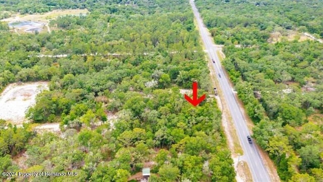 7466 Treiman Blvd, Webster FL, 33597 land for sale