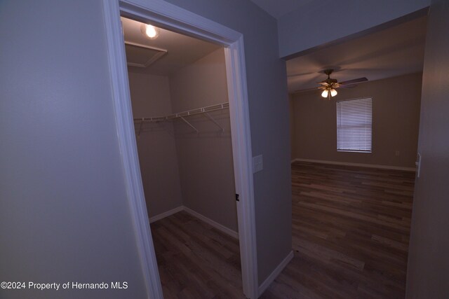 view of closet